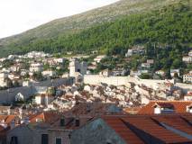 12009